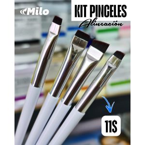 KIT DE PINCELES PROFESIONAL
